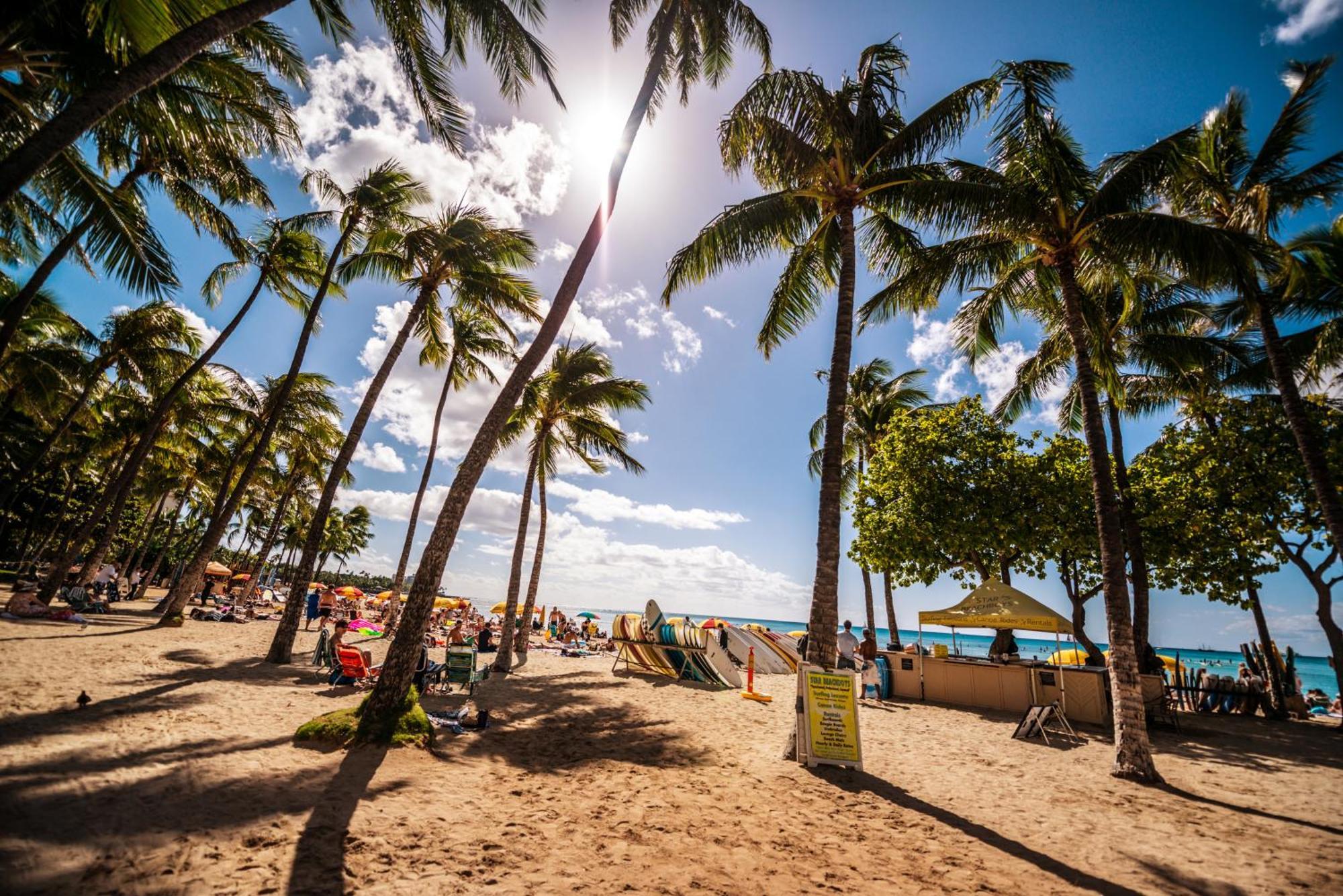 Charming 1br: Waikiki Banyan, Ocean View + Parking Appartement Honolulu